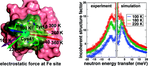 rubredoxin